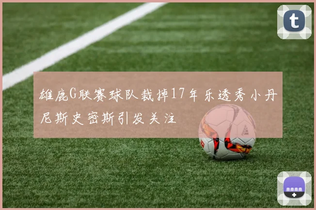 雄鹿G联赛球队裁掉17年乐透秀小丹尼斯史密斯引发关注